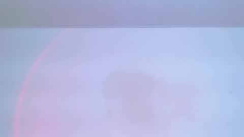     online show from February 8, 9:10 pm