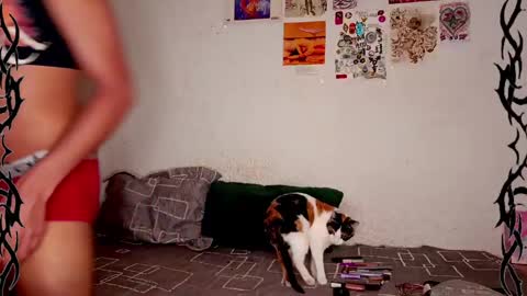   online show from February 9, 7:27 am