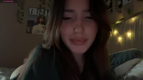 Anisa Moan from LovenseWet from Tip MenuOpen for Private online show from April 21, 12:23 pm