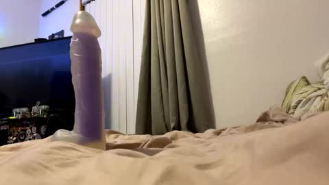 bathingcat online show from November 27, 9:56 am