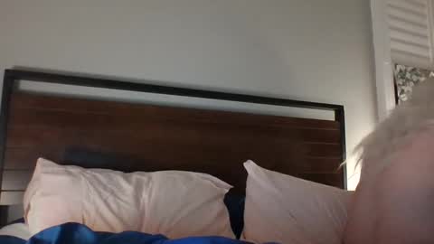 Snapshot of bawblejam chatting on December 14, 11:29 am BjBambi online show from December 14, 11:29 am