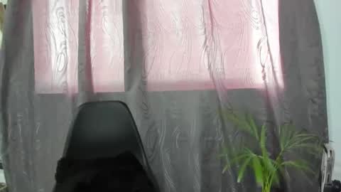 isabella online show from February 1, 2:24 pm