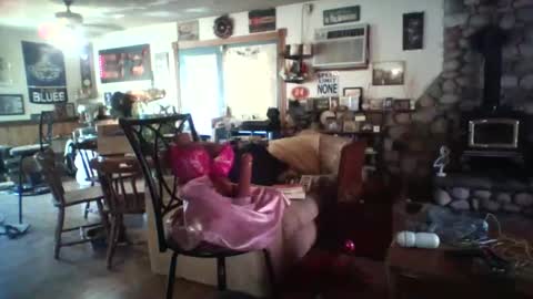 crossdrsr1 online show from November 15, 8:51 pm