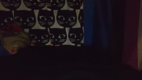 CozyClementine online show from April 9, 8:09 am