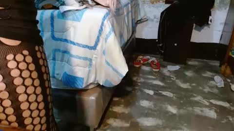 dreamreal online show from November 26, 11:12 am