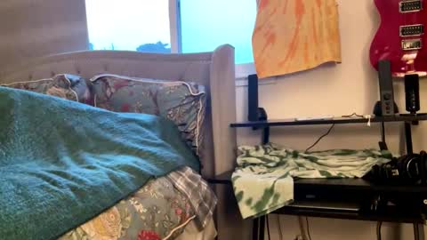 driving_perfectly online show from March 4, 1:56 am