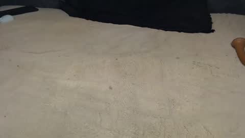 elgsslt online show from March 22, 12:32 pm