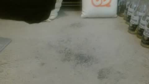 Holly Hawkes online show from April 5, 1:36 am