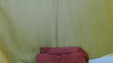 Cara online show from February 13, 10:33 am