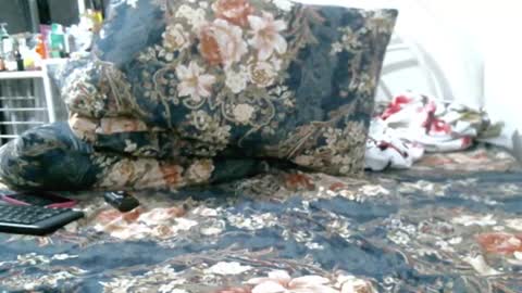 Snapshot of iam_mistress_dominatrix chatting on February 22, 1:57 pm iam_mistress_dominatrix online show from February 22, 1:57 pm