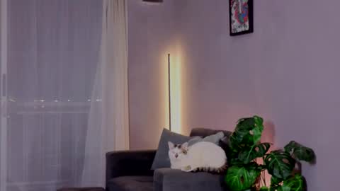 Julyane online show from October 4, 2:12 am