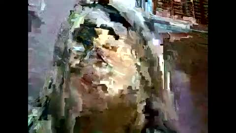 janella online show from January 15, 12:36 pm