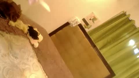 jerkinghardcock69_samantha online show from November 3, 12:42 am