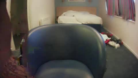 Dee online show from November 17, 8:25 am