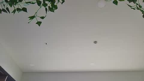 Sky-pure-Japanese online show from April 7, 5:52 am