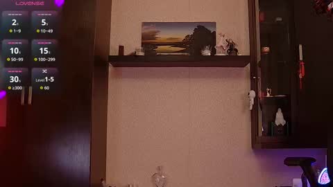 Sofia online show from December 20, 8:04 pm