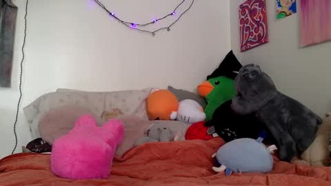 hosa online show from February 21, 7:39 pm