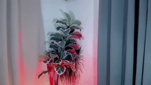 miss_bella69 online show from March 20, 7:09 am