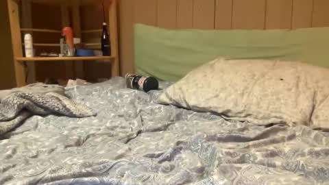 harvestmoon online show from March 18, 9:36 pm