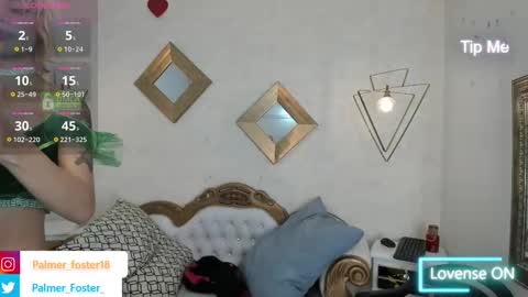 Palmer  online show from February 20, 9:09 pm