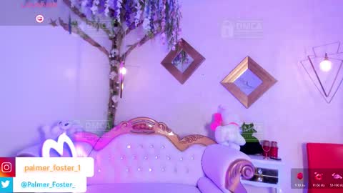 Palmer  online show from September 22, 9:20 pm