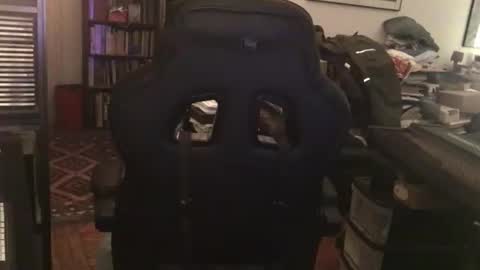 Pantyvioletlace online show from April 11, 1:44 am