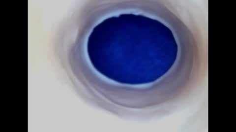 Paula 18 Aninhos online show from February 15, 3:02 am