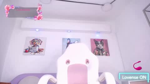 Sammy  online show from December 13, 7:53 pm