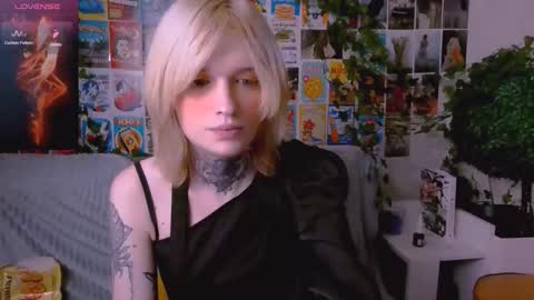 Simona online show from November 8, 12:11 am