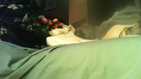 Sinseason online show from November 11, 8:16 am