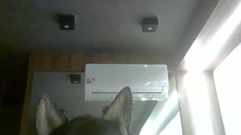 skinnykittencam online show from February 5, 10:15 pm