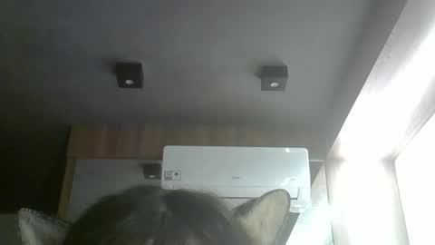 skinnykittencam online show from April 15, 1:33 am