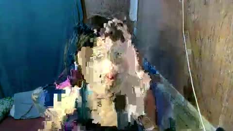 sweet_lj online show from September 11, 6:32 am