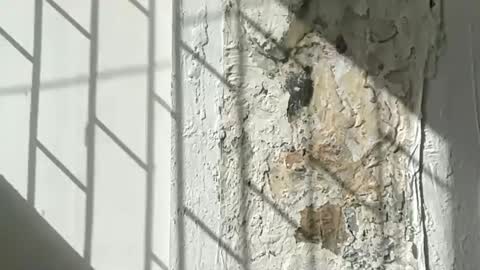 Lucy Lucy online show from September 23, 8:26 pm