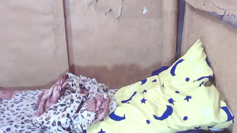 carmella online show from December 30, 1:04 am