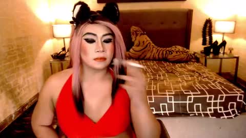 wildtransjhade online show from January 11, 7:49 am