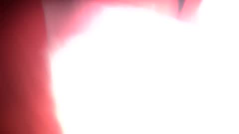 yourtoyalso3 online show from March 24, 10:53 am