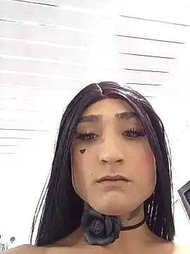 translatina777 online show from November 20, 8:04 am