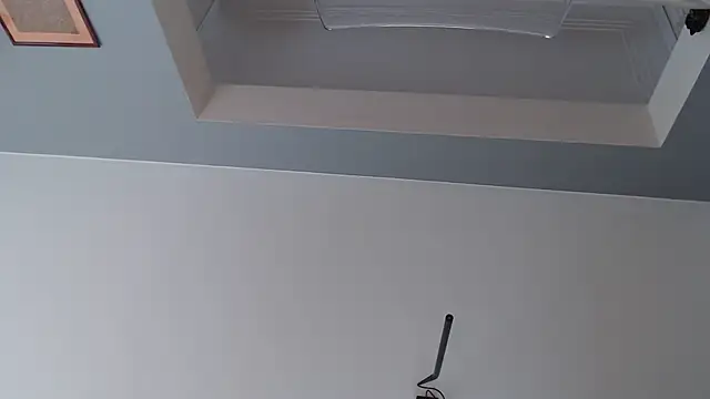 knodli online show from October 21, 11:56 am