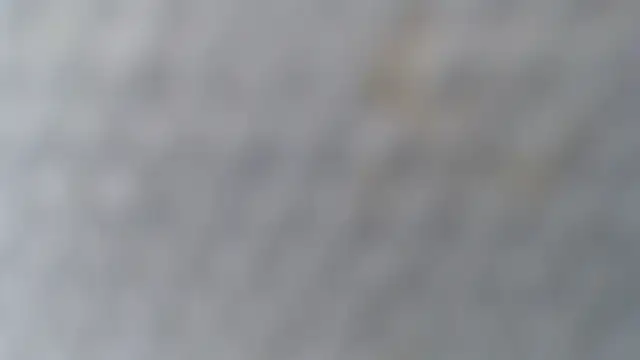 knodli online show from October 30, 11:42 am