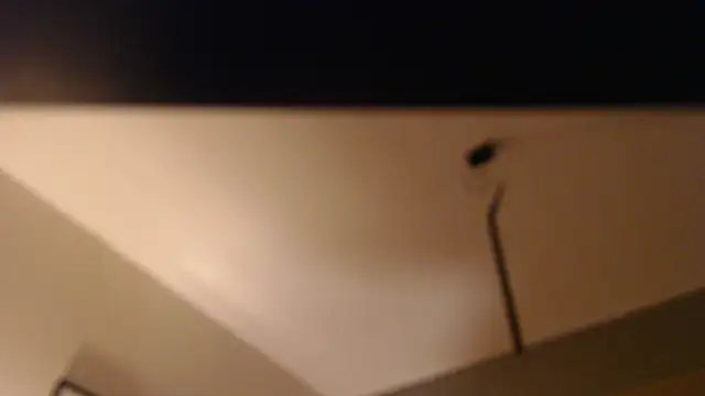 knodli online show from November 3, 7:46 pm