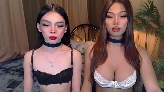 TWINKTRANSSHANEL online show from October 6, 4:23 am