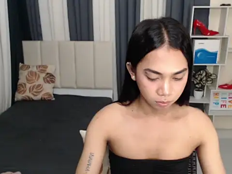 TsHardcockYuki online show from November 25, 6:26 am