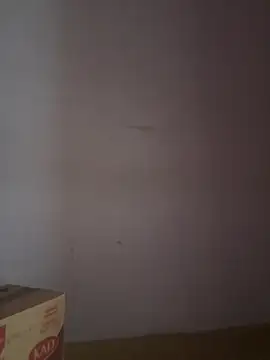 joy1334 online show from July 17, 8:09 am