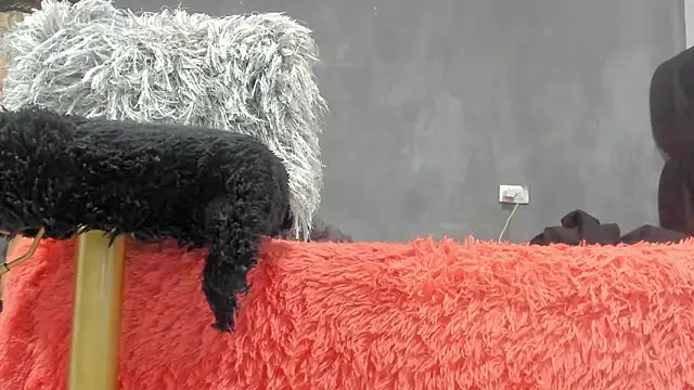 SandraGoldstein online show from March 13, 1:22 am