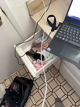 Exclusivenutxxx online show from November 10, 10:33 pm