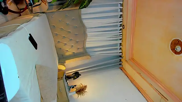 MistressSatisfactionOnTop online show from October 26, 6:04 pm