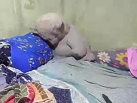 Alora-shine online show from February 18, 9:21 am