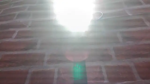 paulavletina21 online show from February 13, 5:36 am