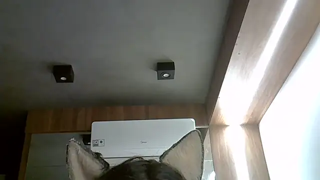 Skinny-Kitten online show from September 19, 5:35 am